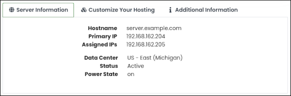 Customer Portal - Dedicated Server - Server Information tab
