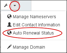 renew domain hosting a2 renewal purchased appears status