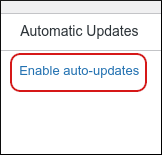 WordPress - Plugins - Enable auto-updates