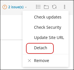 WordPress Toolkit - Settings - Detach